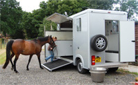 Loading horse